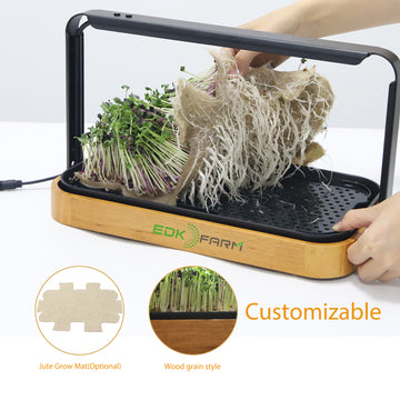 Customizable Bamboo Hydroponic Mini Garden Kit with LED Grow Lights