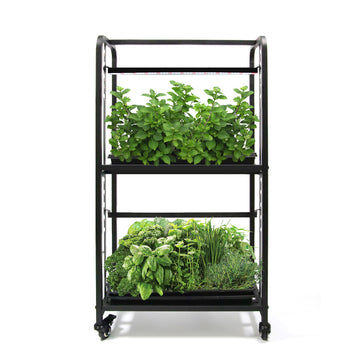 1.15m 2 - Tier Adjustable LED Grow Light System Plant Rack for Indoor Gardening