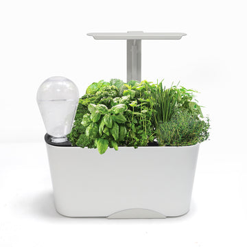 WSS1 Self-Watering Planting Pot with Full-Spectrum LED Grow Light – Effortlessly Grow Fresh Basil, Mint, Lettuce, Spinach, Tomatoes Indoors