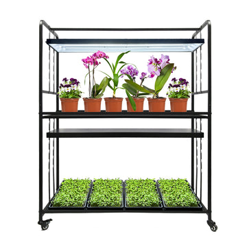 2 Tier Indoor Home 72W Led Grow Light Micro Farm Vertical Garden Growing System Kit for Vegetable Herb