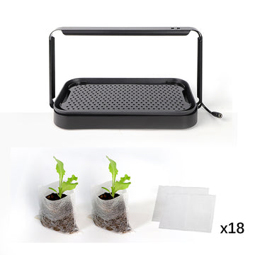 Garden Starter Kit Smart Hydroponics Micro green Grow Indoor Kit System