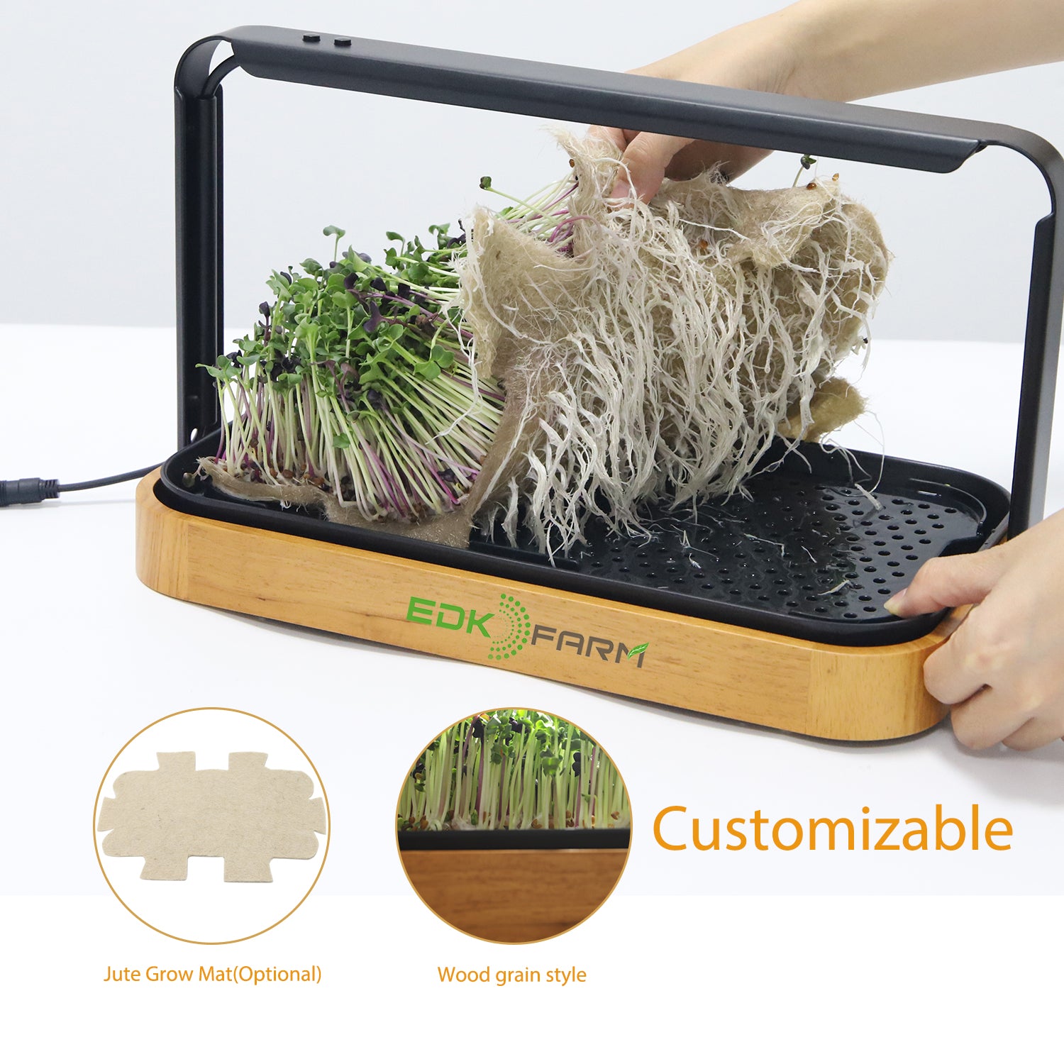 Customizable Bamboo Hydroponic Mini Garden Kit with LED Grow Lights