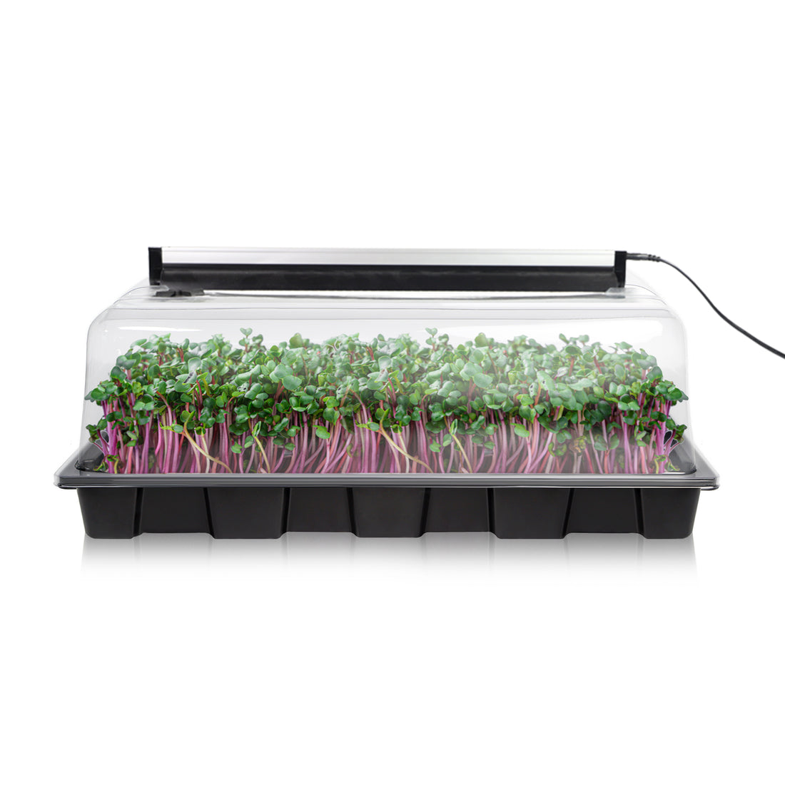 Germination Kit Plastic Seed Starter Tray with Grow Lights for Indoor Planting