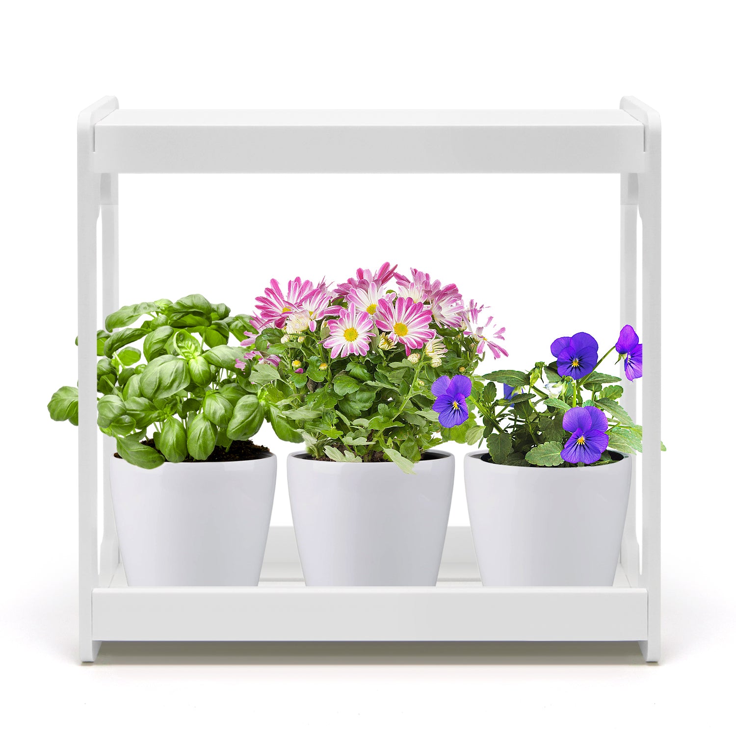 Smart Mini Garden Efficient LED Tabletop Grow Light with Adjustable Timer for Flower Herbs & Succulent