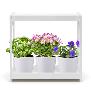 Smart Mini Garden Efficient LED Tabletop Grow Light with Adjustable Timer for Flower Herbs & Succulent