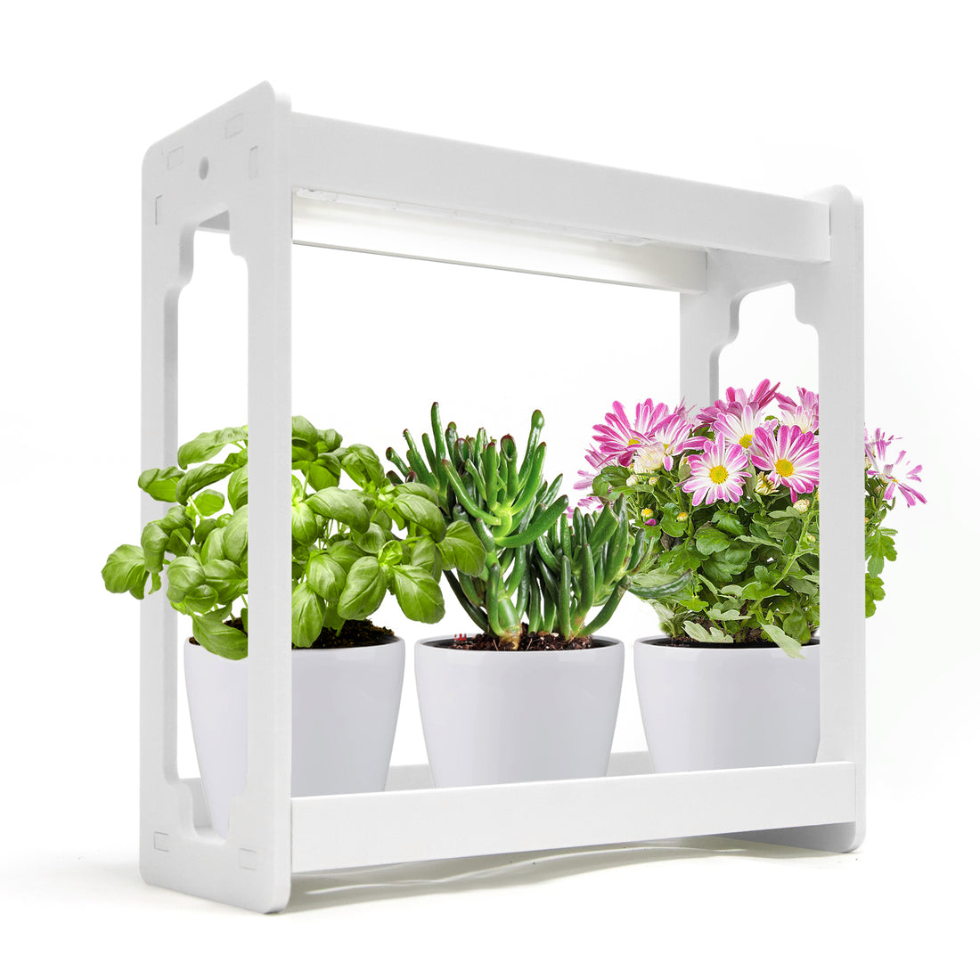Smart Mini Garden Efficient LED Tabletop Grow Light with Adjustable Timer for Flower Herbs & Succulent