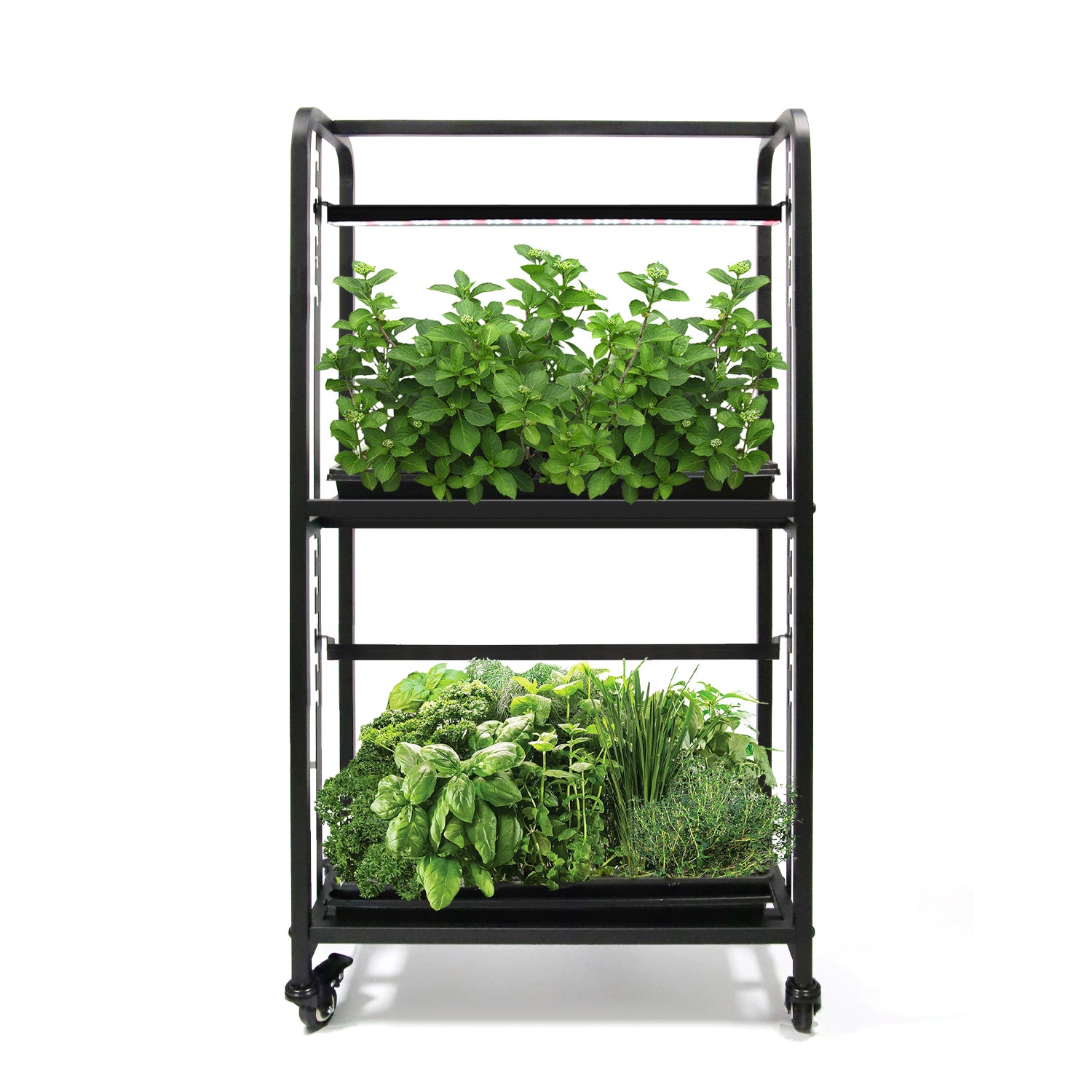 1.15m 2 - Tier Adjustable LED Grow Light System Plant Rack for Indoor Gardening
