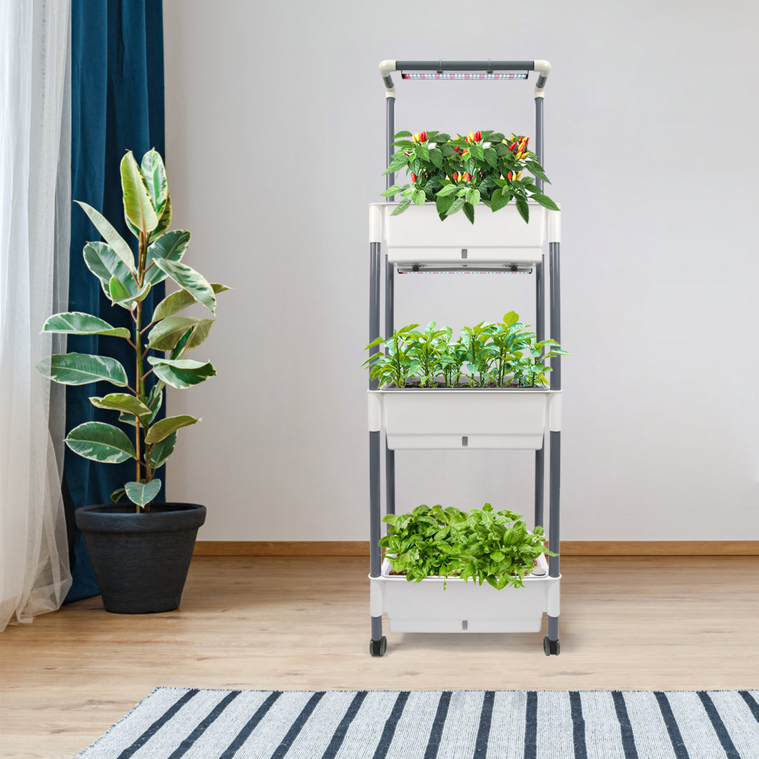 Vertical Indoor Gardening Planter | Self-Watering System for Microgreens Vegetables Fruits and Herbs