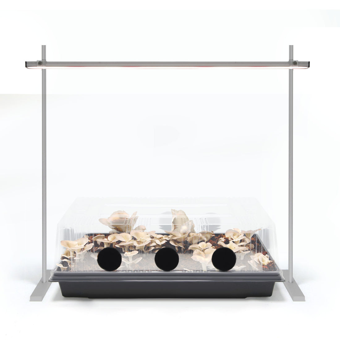 Aluminum Tabletop 1020 Grow Light Stand for Seed Starting with Timer and Adapter