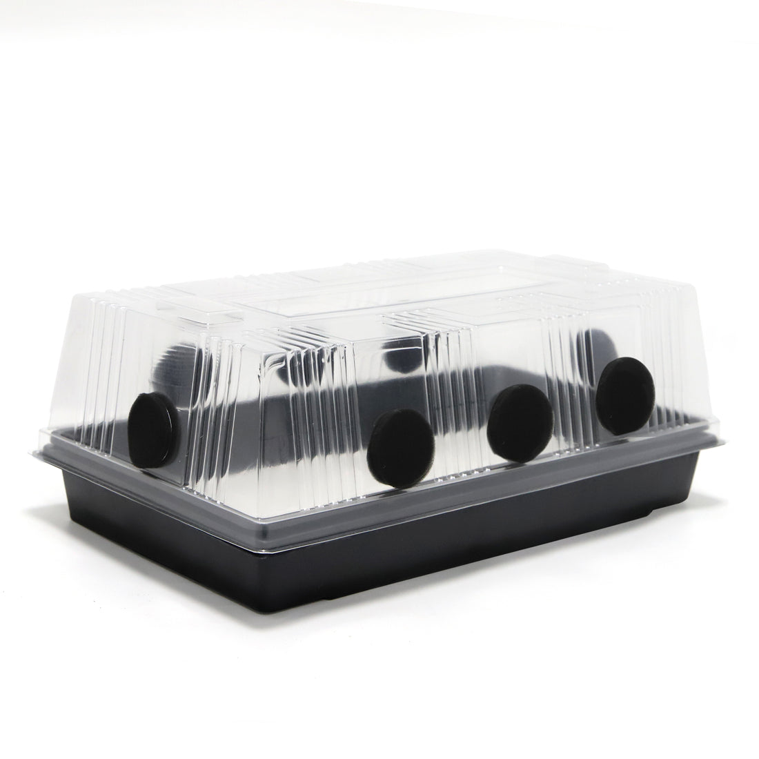 Reusable Mushroom Growing Box Kit | Grow Shiitake Oyster Lion’s Mane and Organic Gourmet Mushrooms Indoors