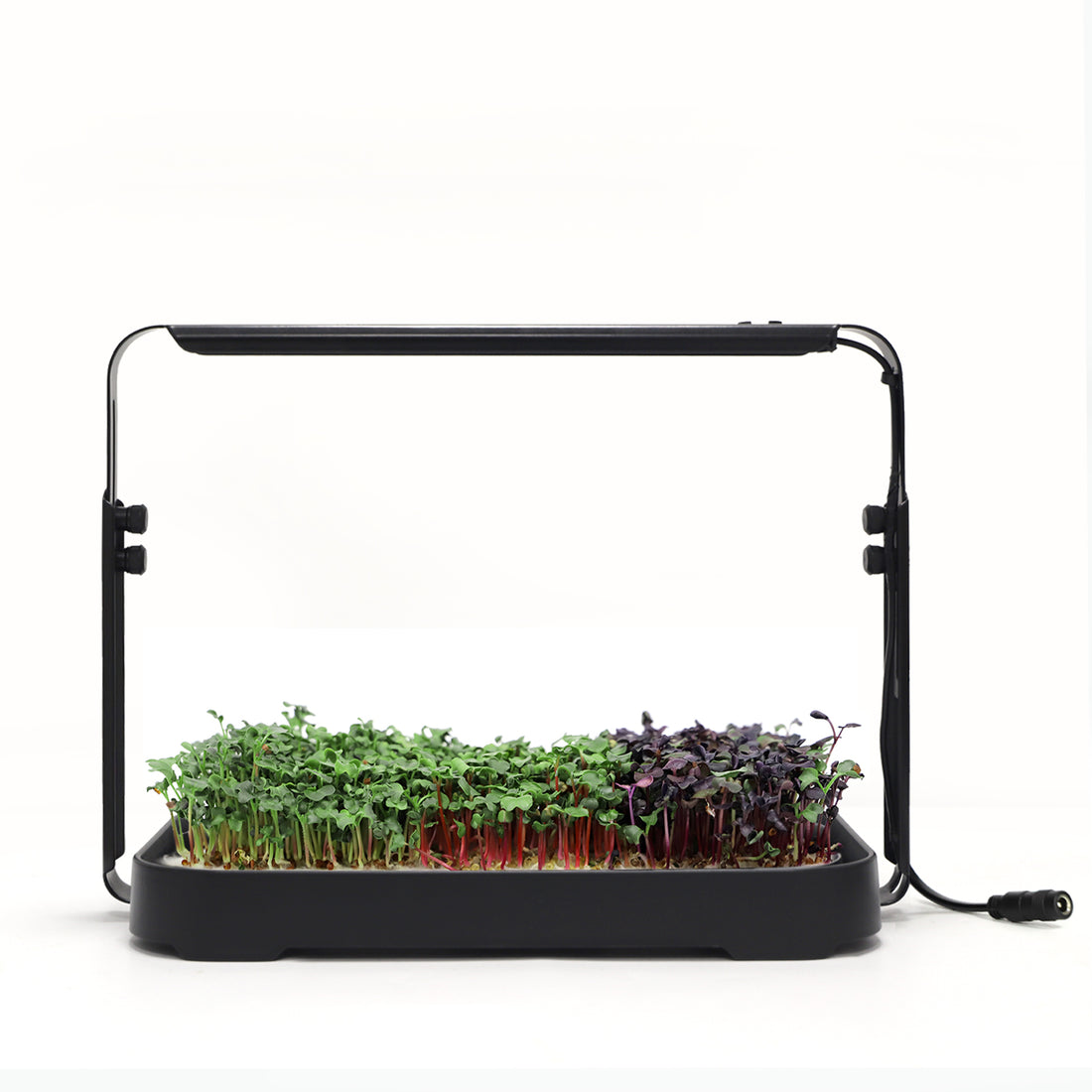 Adjustable Height Intelligent Garden Indoor Plant Growing Desktop Grow Light with Timer