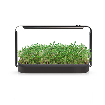 Indoor Plant Growing Tray LED Grow Light for Microgreens Wheatgrass Radish Sprouts Seedlings